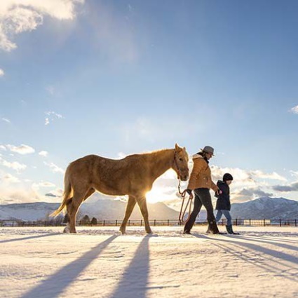 Muckboot Dame Hale Fleece Brun