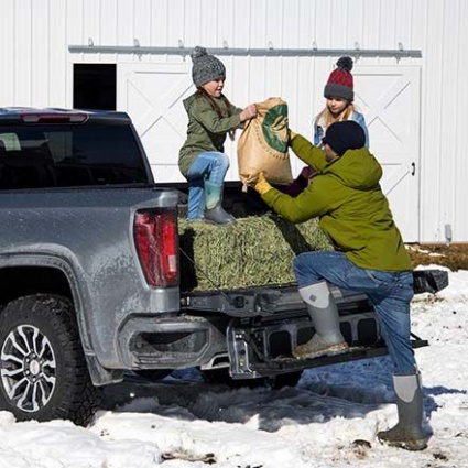 Muckboot Børneelement Grå