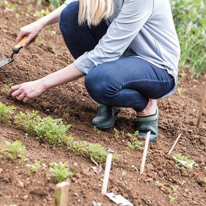 Kvinders Muckster Clog Muckboot Grøn