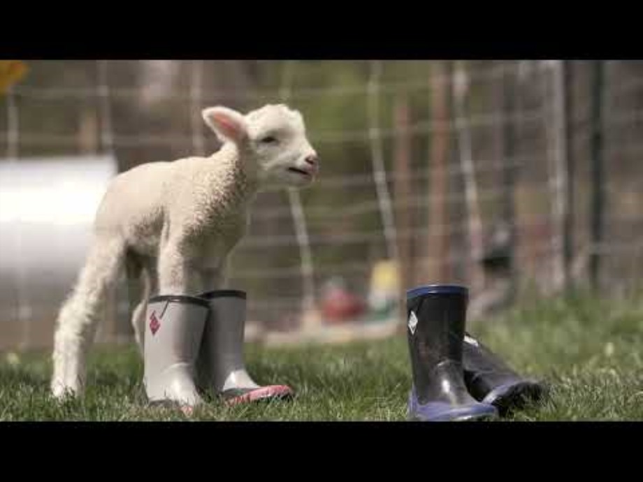 Grå Sorte Pink Høje Foderstøvler Til Børn Muckboot