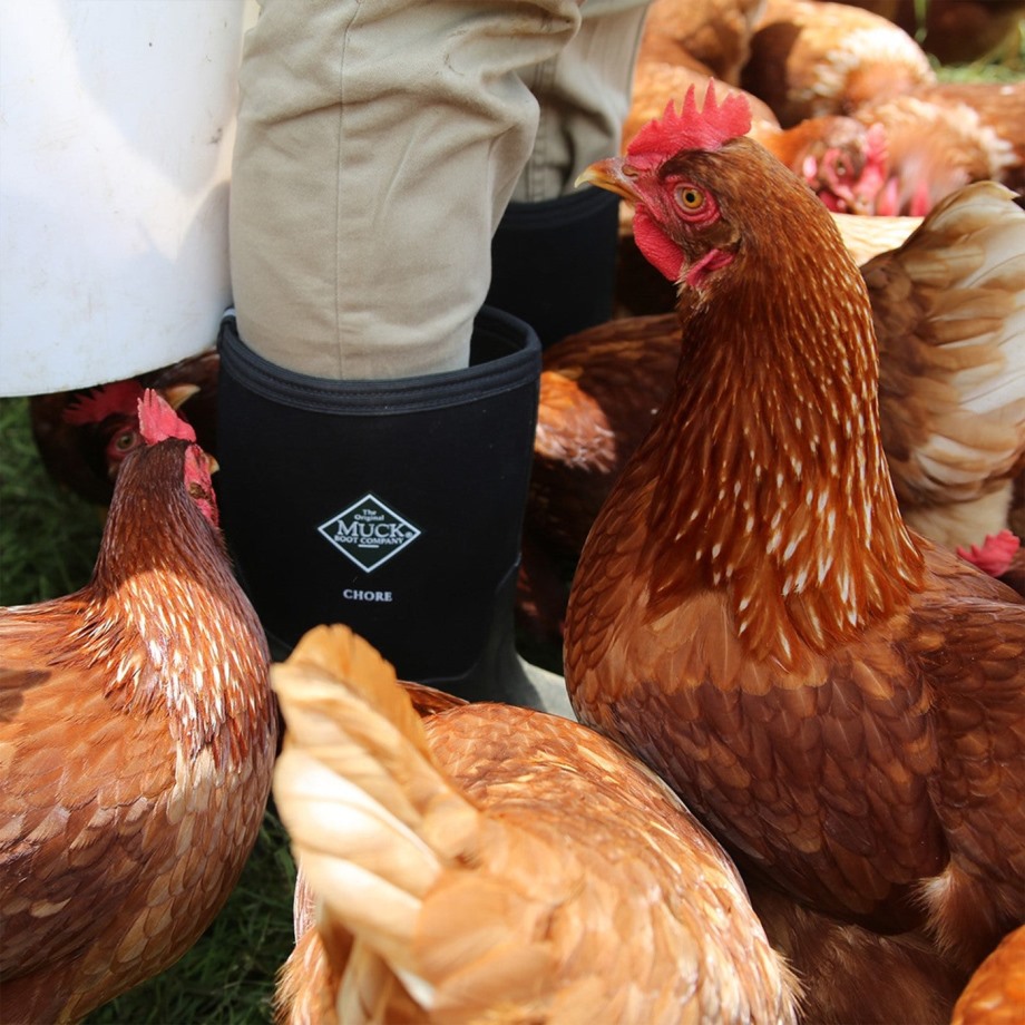 Klassiske Høje Støvler Til Børn, Sort Muckboot