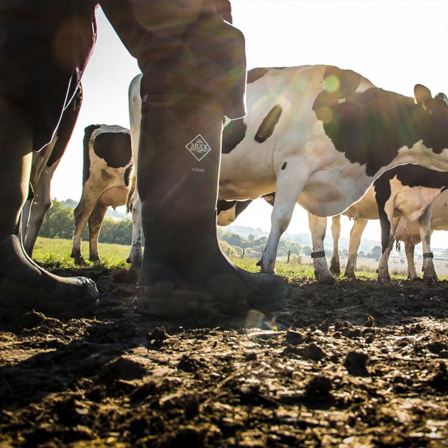 Mos Unisex Chore Stål Tå Høje Støvler Muckboot
