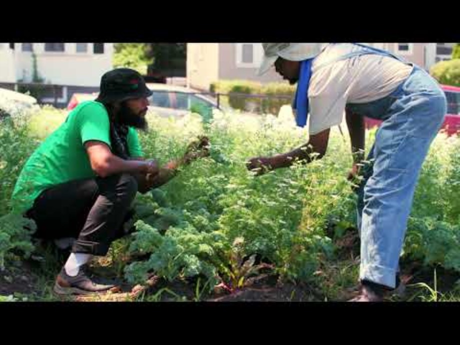 Muckboot Grå Herre Outscape Snøresko
