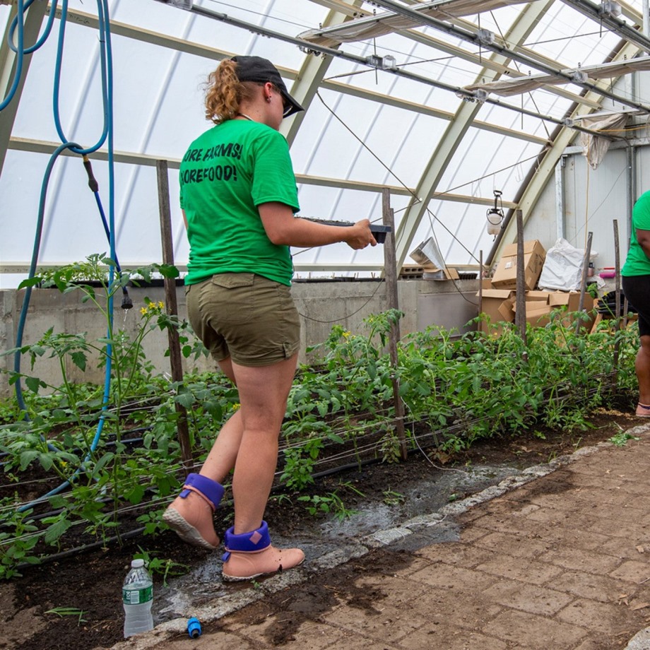 Muckboot Wheat Print Kvinders Rhs Muckster Ii Korte Støvler