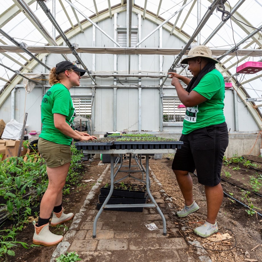 Muckboot Med Solsikketryk Til Kvinder